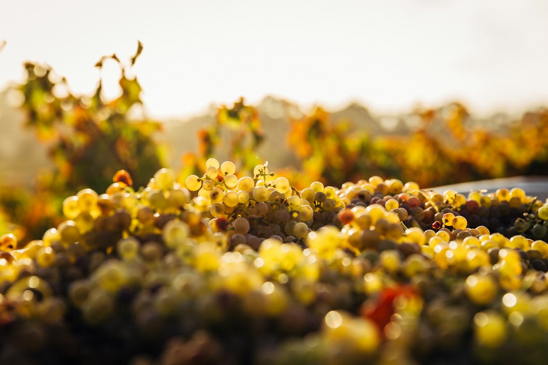 Секреты создания ароматного маринада на основе вина